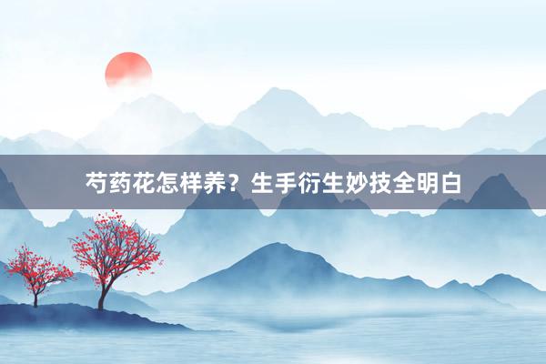 芍药花怎样养?生手衍生妙技全明白