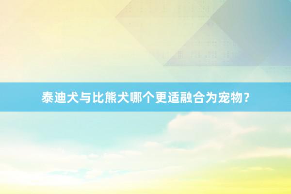 泰迪犬与比熊犬哪个更适融合为宠物？